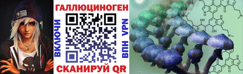 Псилоцибиновые грибы ЛСД  Чегем 