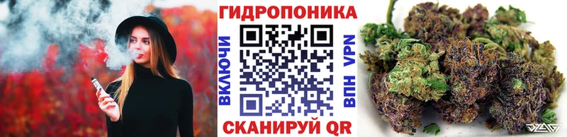 Каннабис SATIVA & INDICA  omg как войти  Чегем 